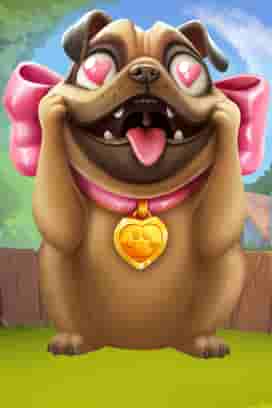 Go High Puppy Love