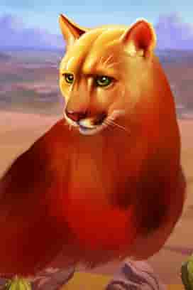 Immortal Ways Buffalo SE