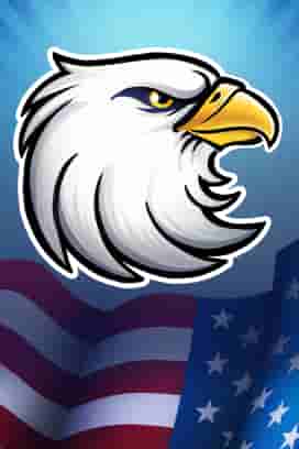 Diamond Explosion Patriots