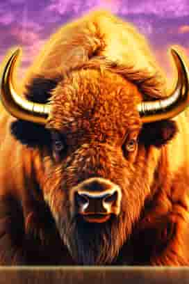 Grand Bison