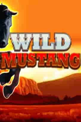 Wild Mustang
