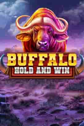 Buffalo Hold and Win