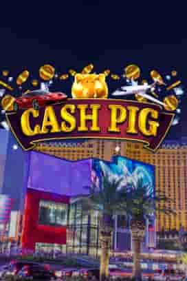 Cash Pig