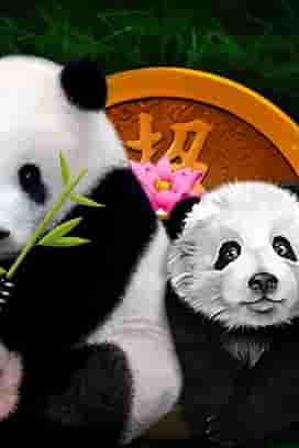 Bamboo Bear