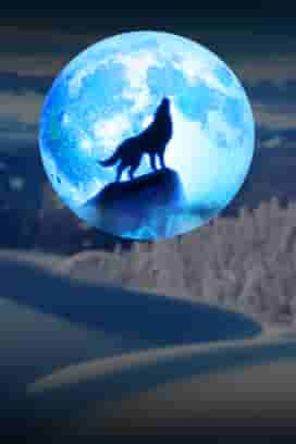 Magical Wolf