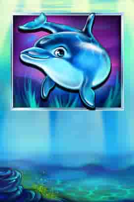 Lucky Dolphin