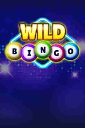 Wild Bingo
