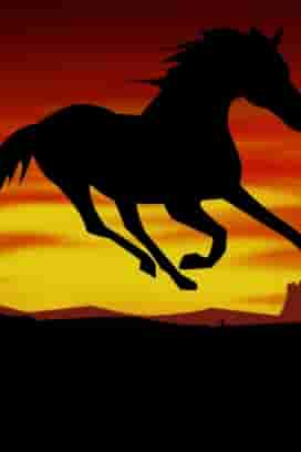 Black Horse™