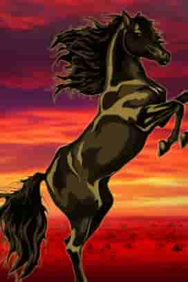 Black Horse™ Cash Out