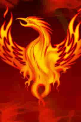 Fire Bird