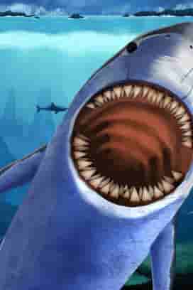 Hungry Shark
