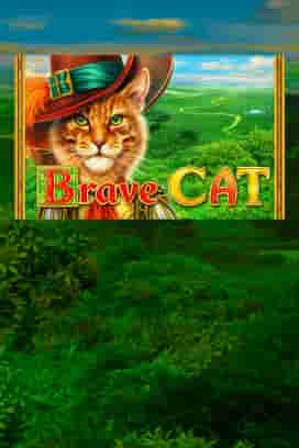 Brave Cat