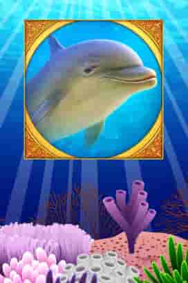 Coral Island