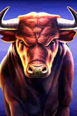 Black Bull