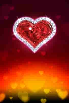 Wild Love