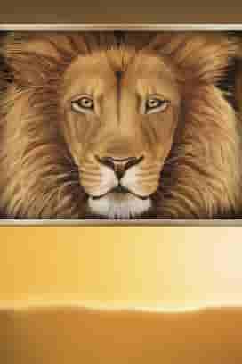 Safari