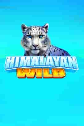 Himalayan Wild