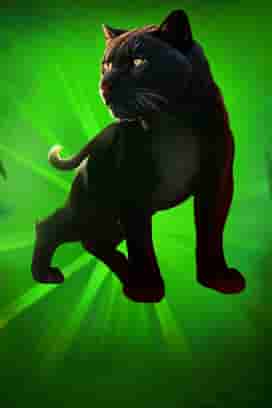 Mighty Wild™: Panther