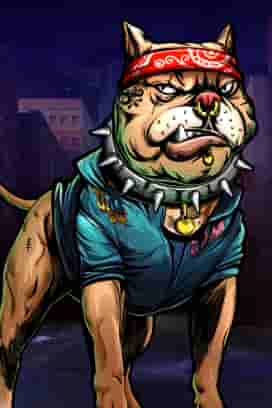 The Big Dawgs