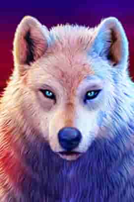 Vampires vs Wolves
