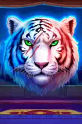 Tiger Gems