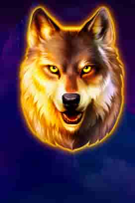 Wolf Night