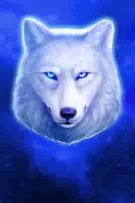 Wolf Saga