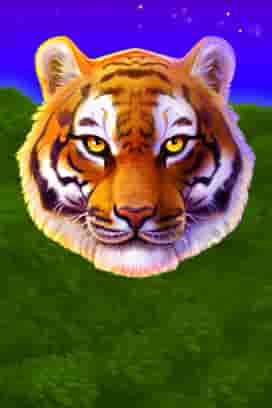 Tiger Stone