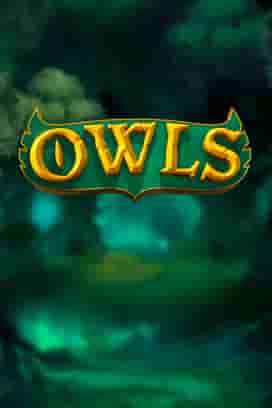 Owls