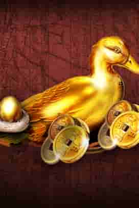 Duck Of Luck