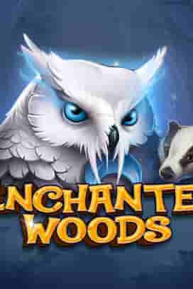 Enchanted Woods