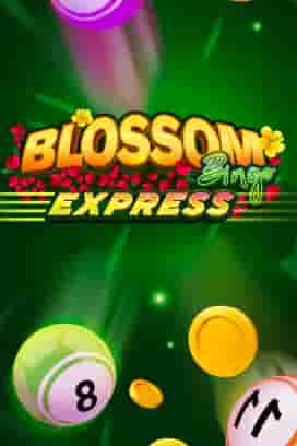 Blossom Bingo Express