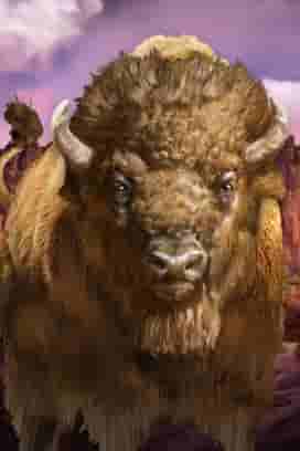 Big Bad Bison