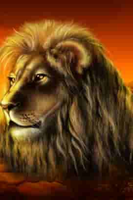 Savannah King