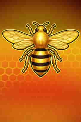Royal Beellion Hold & Win