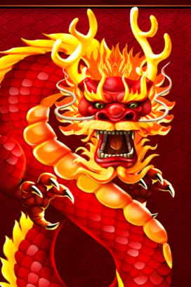 Dragon 8s 25x