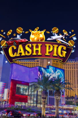Cash Pig