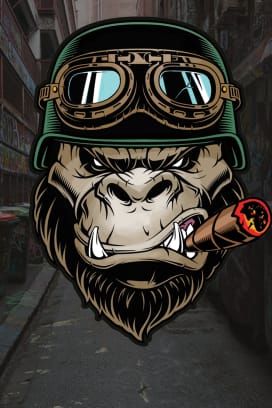 Outlaws Inc.