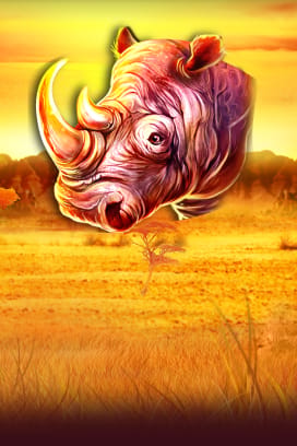 Rhino Mania