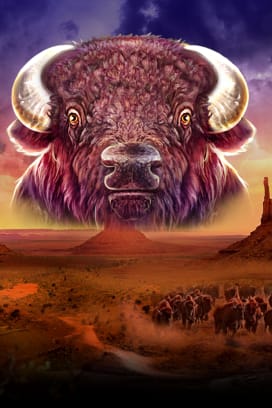 Bison Trail