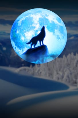 Magical Wolf