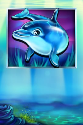 Lucky Dolphin