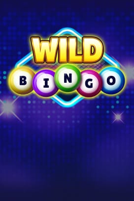 Wild Bingo