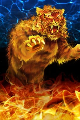 9 Tigers™
