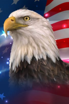 American Gold Poker