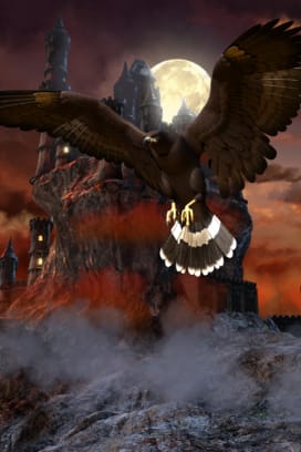 Black Hawk DeluNoe