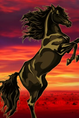 Black Horse™ Cash Out