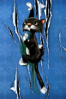 Colin The Cat™