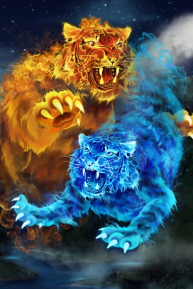 Double Tigers