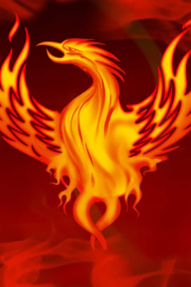 Fire Bird 